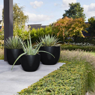 Somo Planter  Pots ( without  plants)