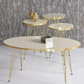 Table White/ Black Ellipse Set Gold Cream Wire Side Table/Coffee