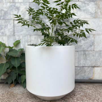 MOMO PLANTER POTS ( WITHOUT PLANTS)